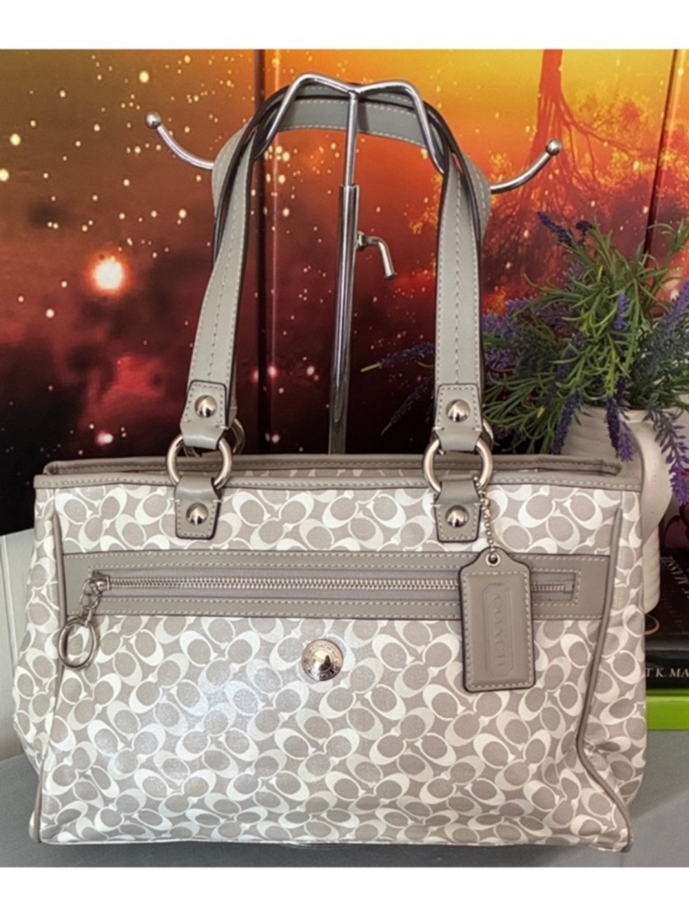 Coach Chelsea Bias Signature Tote